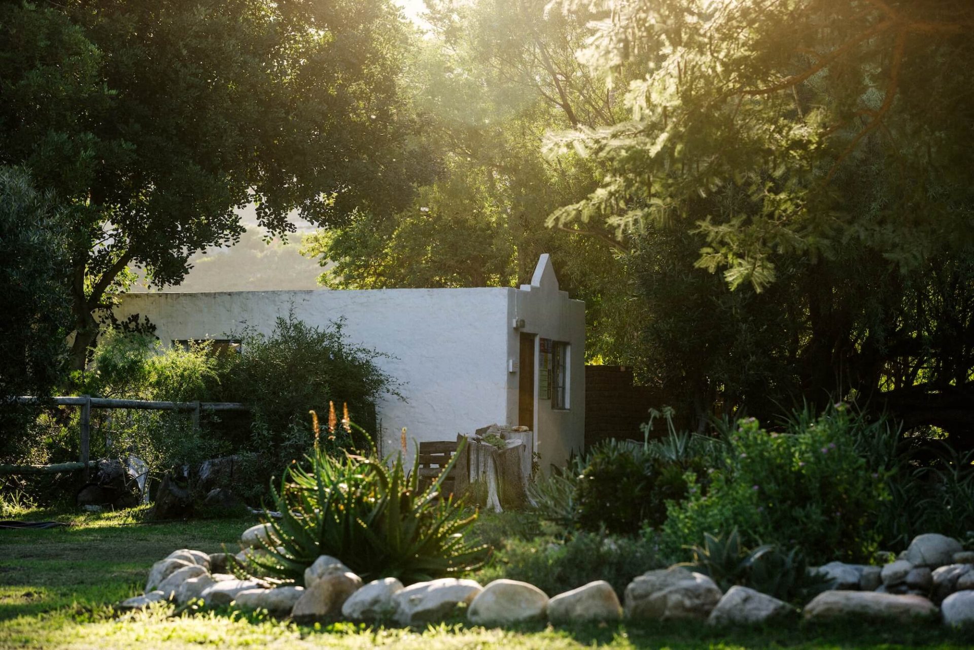 DeBos_Cottage_Vygie1